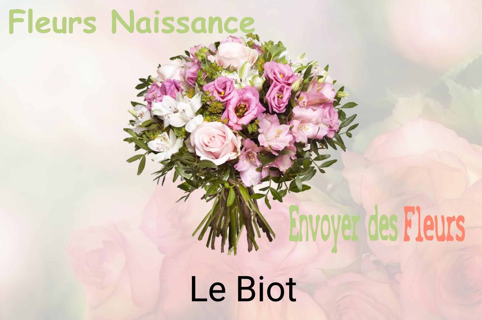 Bouquet de fleurs de naissance livré à Le Biot